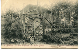 CPA - Carte Postale - Belgique - Flobecq - Mont De Rhodes - La Cabane Sylvie  - 1905 (AT16583) - Flobecq - Vloesberg