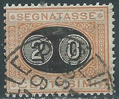 1890-91 REGNO SEGNATASSE USATO SOPRASTAMPATO 20 SU 1 CENT - RE31-2 - Taxe