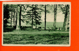 MAGNANVILLE - Sanatorium De L'Association Léopold Bellan - Vue Panoramique Du Parc Sur Mantes (pliée Coin) Cépia - Magnanville