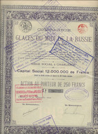 COMPAGNIE DES GLACES DU MIDI DE LA RUSSIE-ACTION DE 250 FRS .- ANNEE 1919 - Rusia