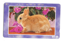 Télécarte NTT - Lapin - 231-291 - Kaninchen