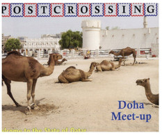 (NN 14) POSTCROSSING - Sultanate Of Qatar - Doha Meet-up (Camel Market) - Qatar