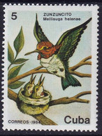 CUBA - Faune, Oiseaux - MNH - 1984 - Other & Unclassified