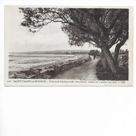 SAINT VAAST LA HOUGUE. VUE SUR MORSALINES PRISE DU LAVOIR DU DIC. - Saint Vaast La Hougue