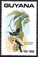 Guyana - MNH ** 1990 : Plate Of John Gould (1804 - 1881) :     White-tipped Sicklebill -   Eutoxeres Aquila - Kolibries