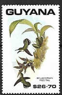Guyana - MNH ** 1990 : Plate Of John Gould (1804 - 1881) :    Ecuadorian Piedtail  -  Phlogophilus Hemileucurus - Kolibries
