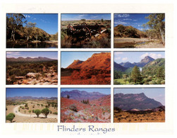 (NN 20) Australia - SA - Flinders Ranges (with Flower Stamp) - Flinders Ranges