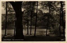 CPA AK Insel RÜGEN Der Schwarze See GERMANY (670159) - Sellin