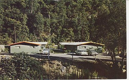 THE  RAPID  MOTEL  AT  YOSEMITE  -  CPSM  ( 21 / 4 / 183    ) - Yosemite