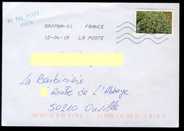 France Oblitéré Sur Enveloppe - Y&T N° A693 - Flore, Fruits De France Et Du Monde - Dattes - Otros & Sin Clasificación