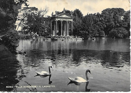 ROMA Villa Borghese Il Laghetto - Parks & Gärten