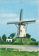 Cadzand - Molen - & Windmill - Cadzand