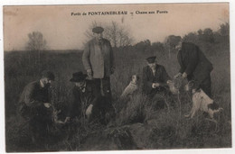 CPA Chasse Aux Furets Chasseurs Chiens Forêt De Fontainebleau - Hunting