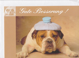 Postogram 160 D / 99 - Gute Besserung ! - English Bulldog / Waterbag - Postogram