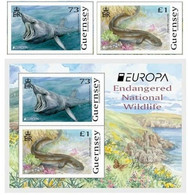 2021 - GUERNSEY - EUROPA CEPT - FAUNA NAZIONALE IN VIA DI ESTINZIONE / ENDANGERED NATIONAL WILDLIFE. MNH - 2021