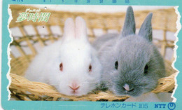 PHONE CARD- JAPAN - NTT - Lapins