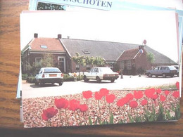 Nederland Holland Pays Bas Winschoten Met Tulpen Voor Bowlingboerderij En Auto's - Winschoten