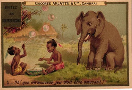 6 Cartes Chromo Serie  Chicorée  Arlatte & C° Cambrai Bulbes De Savon Soap Bubbles Zeep Bellen  Eléphant - Other & Unclassified