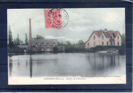 53. Saint Aignan Sur Roe. Moulin De La Diardière. Carte Colorisée. Carte "molle" - Saint Aignan Sur Rö