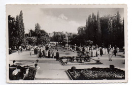 Maroc --FES -- Jardins Andalous De Bou-Jéloud..(très Animée)........timbre ....cachet  .....à  Saisir - Fez (Fès)