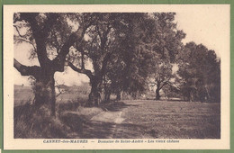 CPA Peu Courante - VAR - CANNET DES MAURES - DOMAINE DE SAINT ANDRE - LES VIEUX CHENES - - Autres & Non Classés