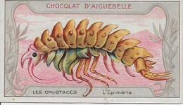 Chromo Aiguebelle Les Crustacés 10,5 X 6 - L'Epiméria - Aiguebelle