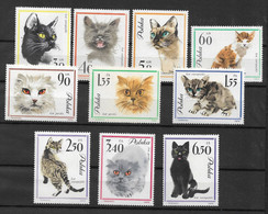 POLOGNE - Série Complète 1964  "Chats" N°1332/1341 Neufs** - SUP - - Neufs