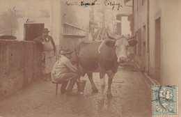 SUISSE  - CELIGNY  - AGRICULTURE - Carte Photo - Intérieur D'une Ferme   (A-198) Voir Scan Recto Verso - Céligny