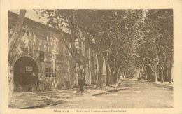 CPA FRANCE 84 "Monteux, Boulevard Commandant Damfreine" - Monteux