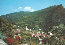 Arogno - Dorfansicht          Ca. 1970 - Arogno