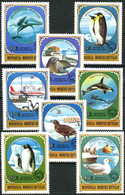 Mongolia 1980 MiNr. 1336 - 1344  Mongolei Animals Birds Antarctic EXPLORATION 8v MNH ** 19,00 € - Antarktischen Tierwelt