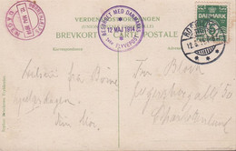 1914. DANMARK. Early Airmail Post Card (The Official Card From Børnehjælpsdagen 1914)... () - JF418722 - Briefe U. Dokumente