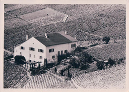 Grandvaux, Domaine De La Crausaz, Emile Kreis Propriétaire (7903) 10x15 - Grandvaux