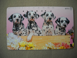 6980 Télécarte Collection  CHIEN  DALMATIENS  Fleurs ( Recto Verso)  Carte Téléphonique - Perros