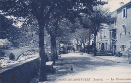 LE PONT-de-MONTVERT :  (48) La Promenade - Le Pont De Montvert