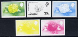 Antigua 1976 Flames Of The Wood 35c (with Imprint) Set Of 5 Imperf Progressive Colour Proofs - Other & Unclassified