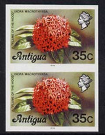 Antigua 1976 Flames Of The Wood 35c (with Imprint) U/m Imperforate Pair (as SG 480B) - Autres & Non Classés