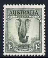 Australia 1937-49 KG6 Lyre Bird 1s P13.5 X 14 Lightly Mounted SG 174 - Mint Stamps