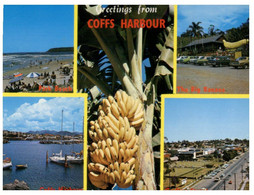(PP 6) Australia - NSW - Coffs Harbor With Banana - Coffs Harbour
