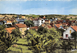 89-COURSON-LES-CARRIERES- PANORAMA - Courson-les-Carrières