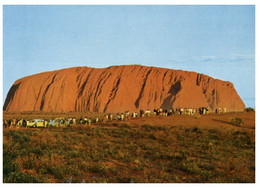 (PP 10) Australia - NT - Ayers Rock Wolrd Largest Monolith (now Called ULURU) (9548) - Uluru & The Olgas