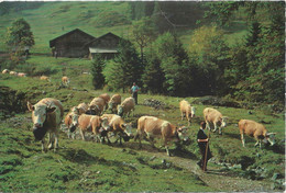 Aeschi B.Spiez - Alpabgang Von Obersuld           1967 - Aeschi Bei Spiez