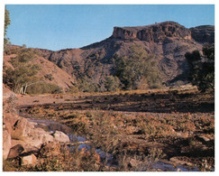 (PP 13) Australia - SA - Fliderts Range - Chamber's Gorge (1072-FR13) - Flinders Ranges