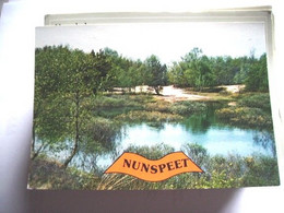 Nederland Holland Pays Bas Nunspeet Met Waterplas In Het Bos - Nunspeet