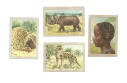 NOTRE CONGO ONZE CONGO Diverses 4 Chromos Pub: Jacques TB 70 X 50 Mm 2 Scans - Jacques