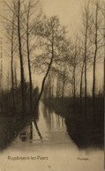 Ruysbroeck Lez Puers (Puurs) Paysage Ca 1900 - Puurs