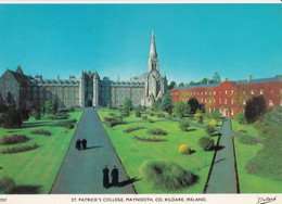 St. Patrick's College Maynooth Co Kildare - Ireland - Formato Grande Non Viaggiata – FE190 - Kildare