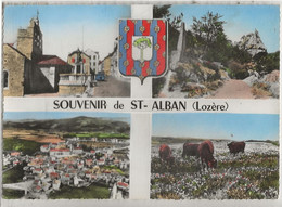 SAINT ALBAN MULTIVUE - Saint Alban Sur Limagnole