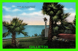 CORPUS CHRISTI, TX - PALMS ON THE WATERFRONT - TRAVEL IN 1940 -  PUB. BY NUECES NEWS AGENCY - - Corpus Christi