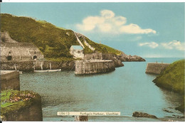 PORTHGAIN HARBOUR - LLANRHIAN - PEMBROKESHIRE - Pembrokeshire